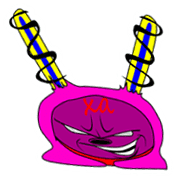 019