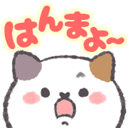 031