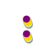 244