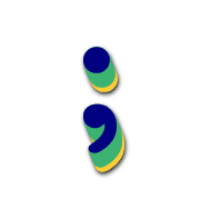 243