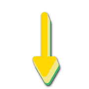 261
