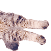 013