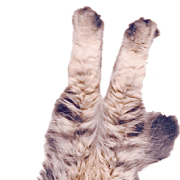 015
