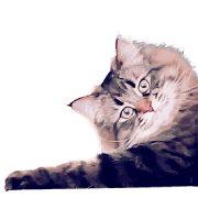 017