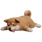 004