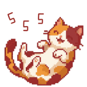 019