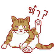 026