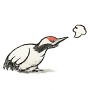 011