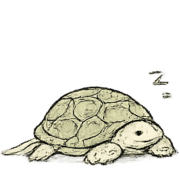 018