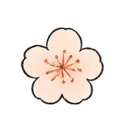 031