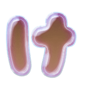 009