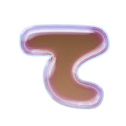 019