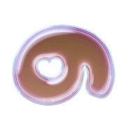 025