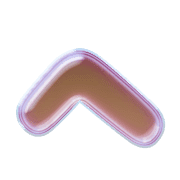 029
