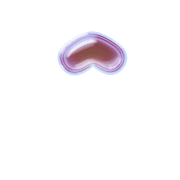 231