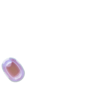 256