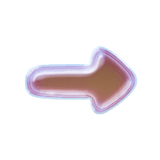 262