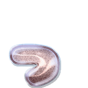 052