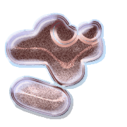 061