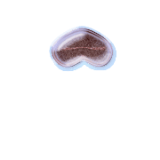 231