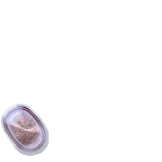 256