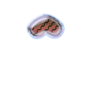 231