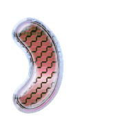 235