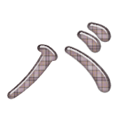 151