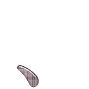 256