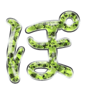 080
