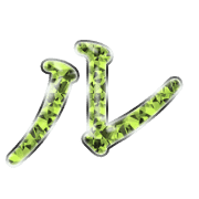 121