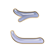 010