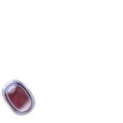 256