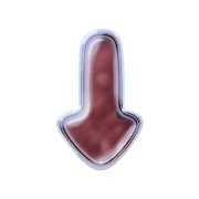 261