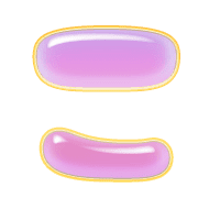 010