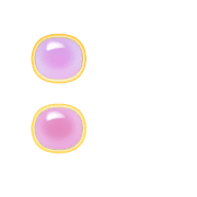 244