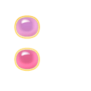 244