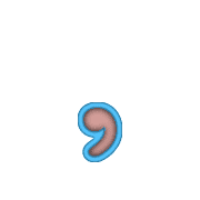 245