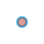 253