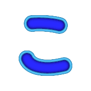 010