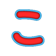 010