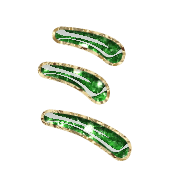 112
