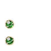 244
