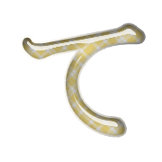 019
