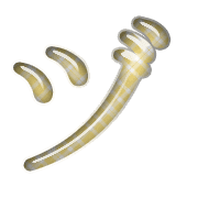 148