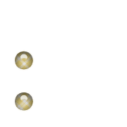 244