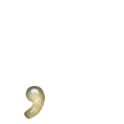 245