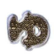 037