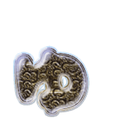 054
