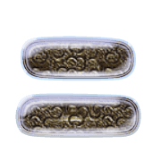 102